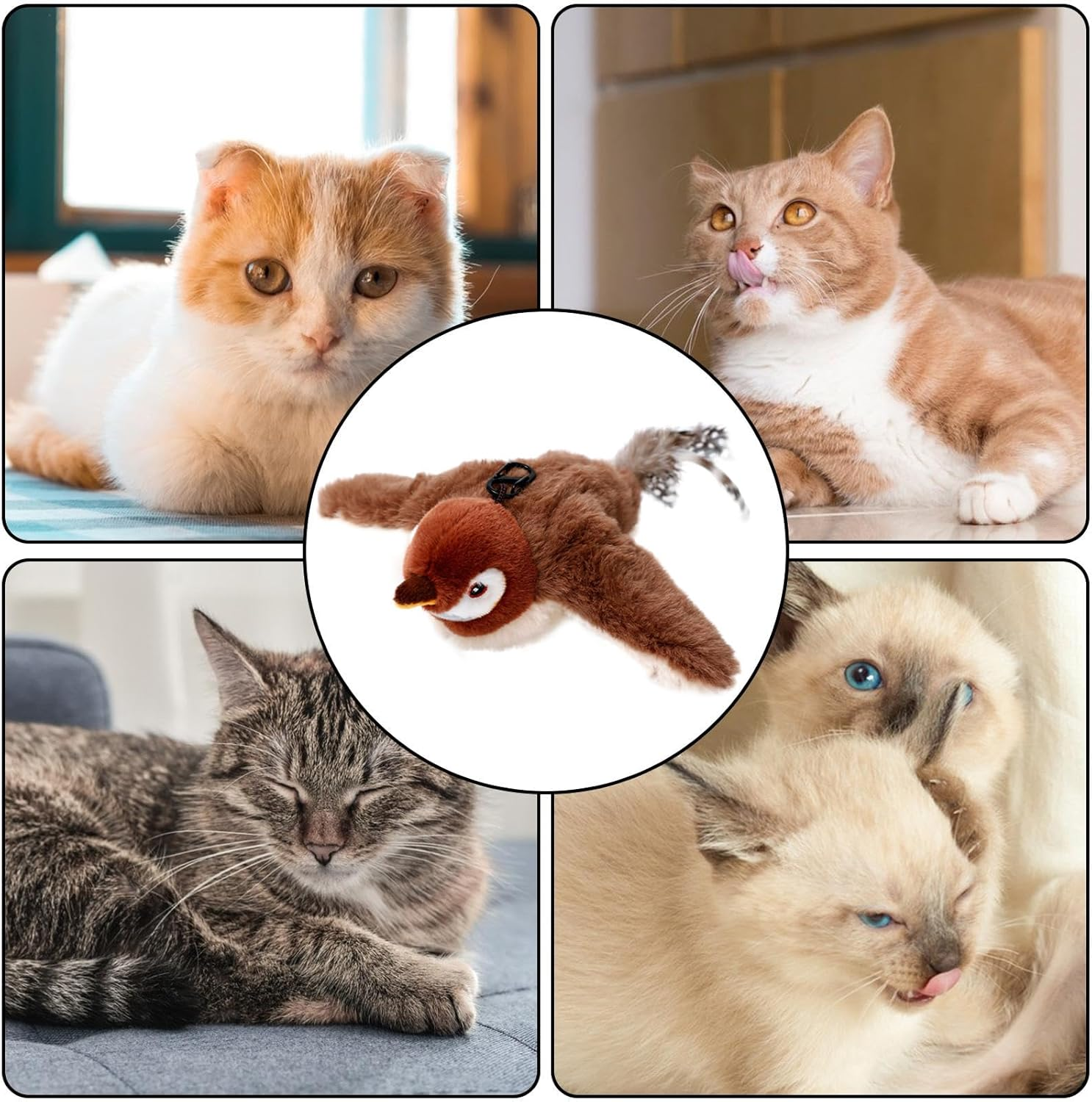 Passarinho voador brinquedo para gatos